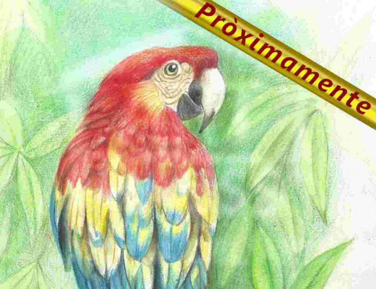 Aves1