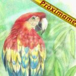 Aves1