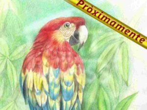 Aves1