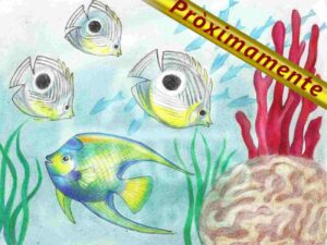 Peces